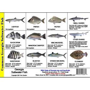 georgia fish and game regulations.